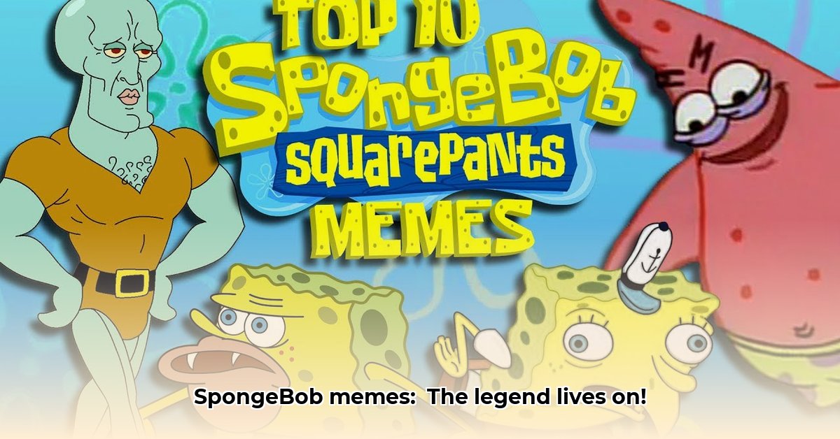 spongebob-memes